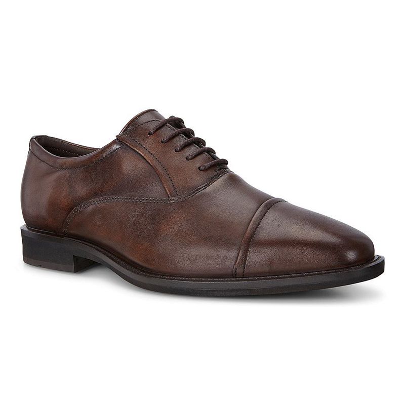 Men Business Ecco Calcan - Oxford Brown - India ICTQHV067